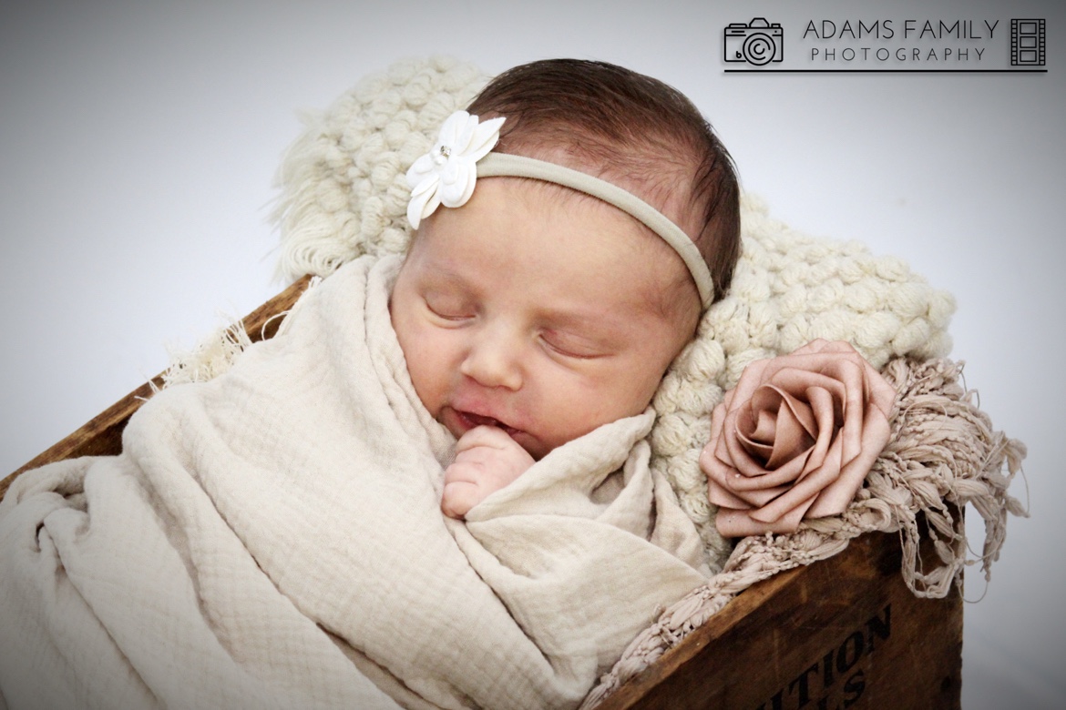 Newborn Photos